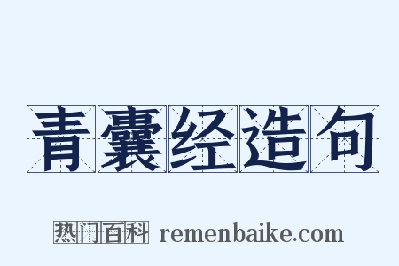 青囊经造句是什么意思的图片